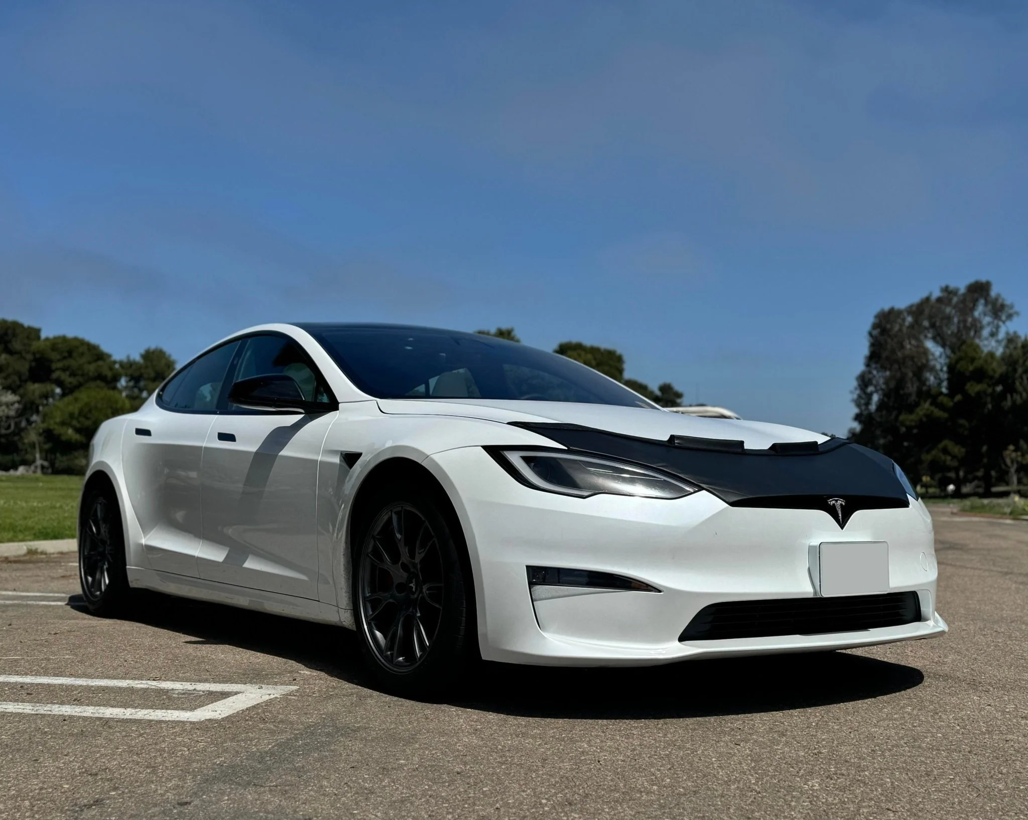 Hood Bra For Tesla Model S 2022-2025 - Image 8